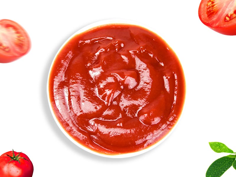 9g 番茄调味酱